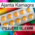 Ajanta Kamagra levitra1